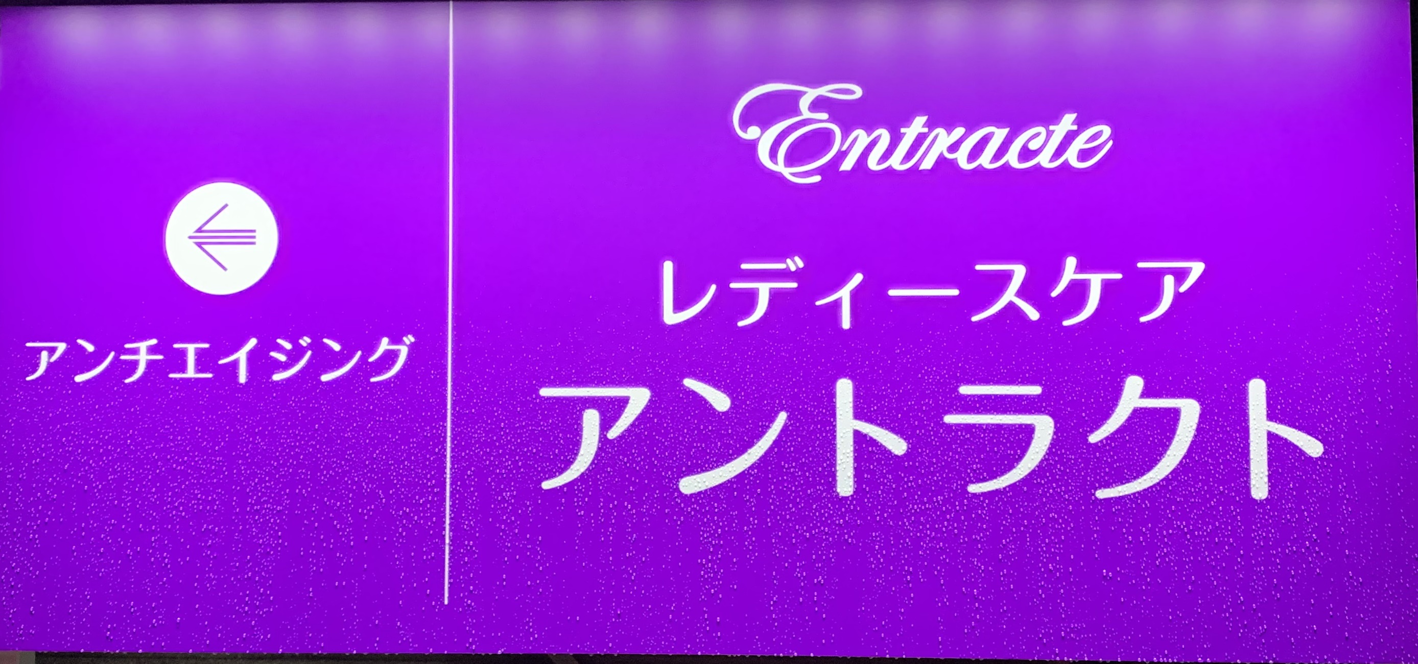 �A���g���N�g�@�Ŕ�